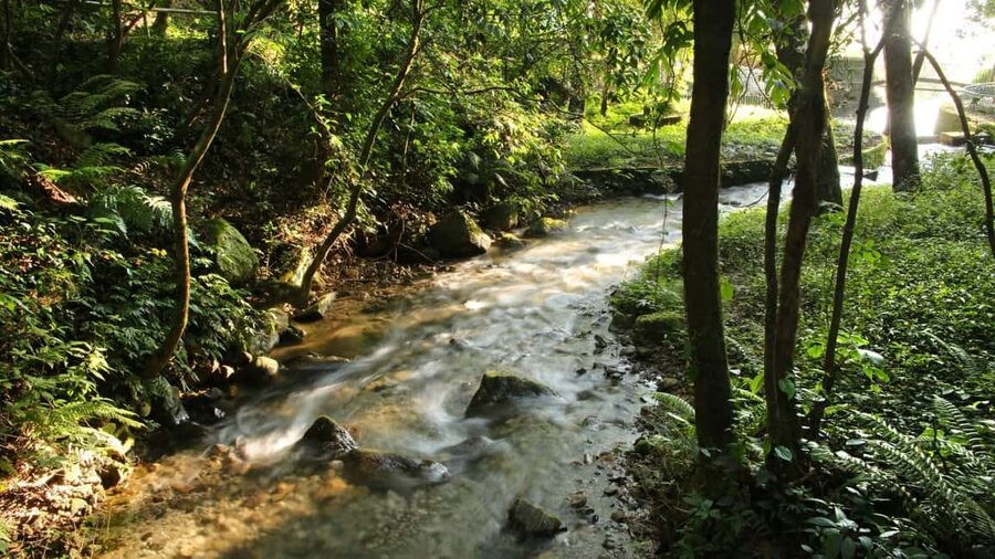 Kathmandu: Shivapuri National Park Hiking Day Trip - Nagi Gompa for a shorter, calmer walk