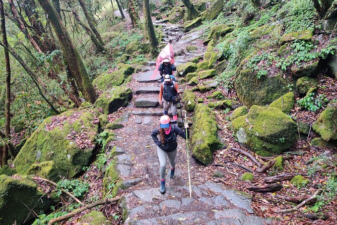 Kathmandu to Annapurna Base Camp Trek 7 Days Tour - Day 1: Kathmandu to Pokhara, then Birethanti