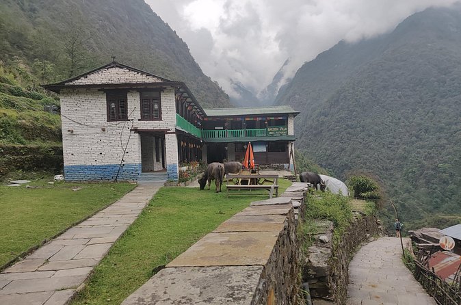 Kathmandu to Annapurna Base Camp Trek 7 Days Tour - Day 3: Chomrong and the long walk to Sinuwa