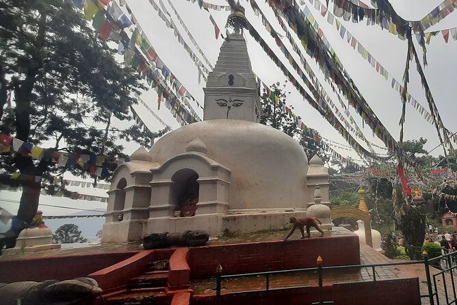 Kathmandu Top 4 or 2 UNESCO World Heritage Sites Day Tour - Why a private car helps in Kathmandu