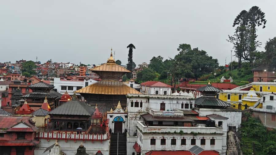 Kathmandu: UNESCO Heritage Site Private & Guided Tour - Patan Durbar Square, Newari design at its finest