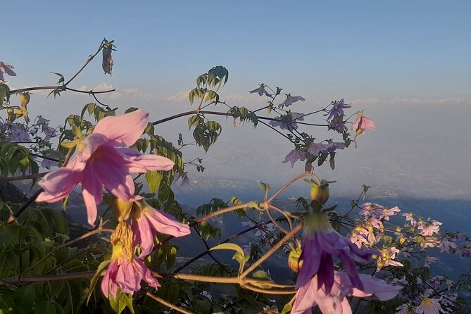 Kathmandu UNESCO World Heritage sites and Nagarkot Sunset Tour - Who will get the most from this experience?