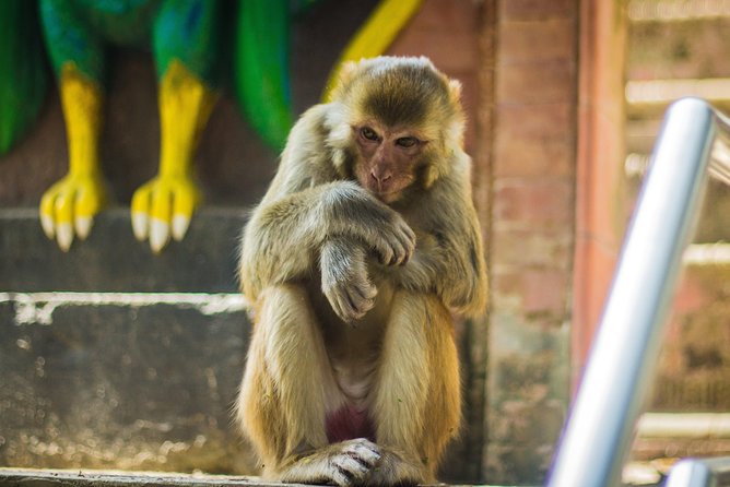 Kathmandu Valley Trek - What the $283 price includes