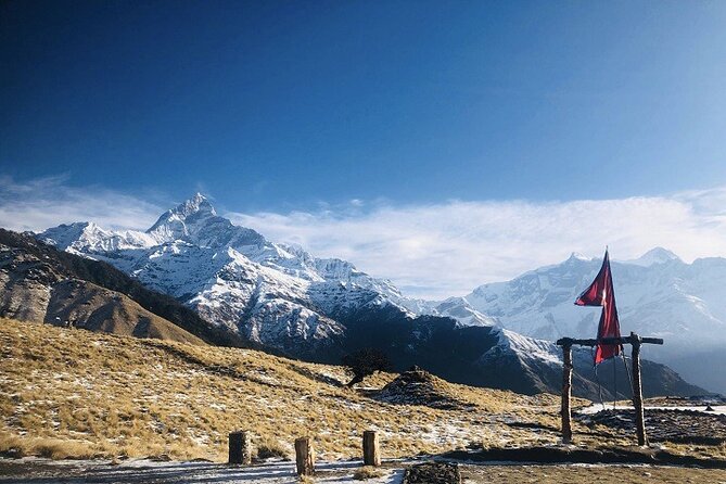 Khumai Danda Trek A Hidden Gem Beneath Machhapuchhre - Forest paths and the open meadows near Khumai Danda
