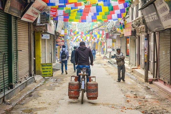Local Bazaar Walking Tour in Kathmandu with Professional Guide - Is $100 a fair price?