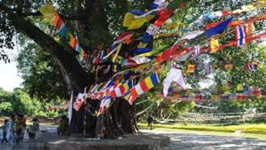 Lumbini Full day tour with Guide - Starting near Mayadevi Temple