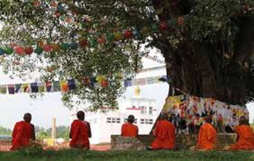 Lumbini: Guided Day Tour to Buddha's Birthplace - Meditation, quiet moments, and shopping