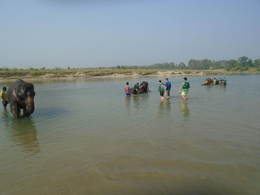Luxury Chitwan Jungle Safari Package (2Nights/3Days) Resort - What this Chitwan package is really offering