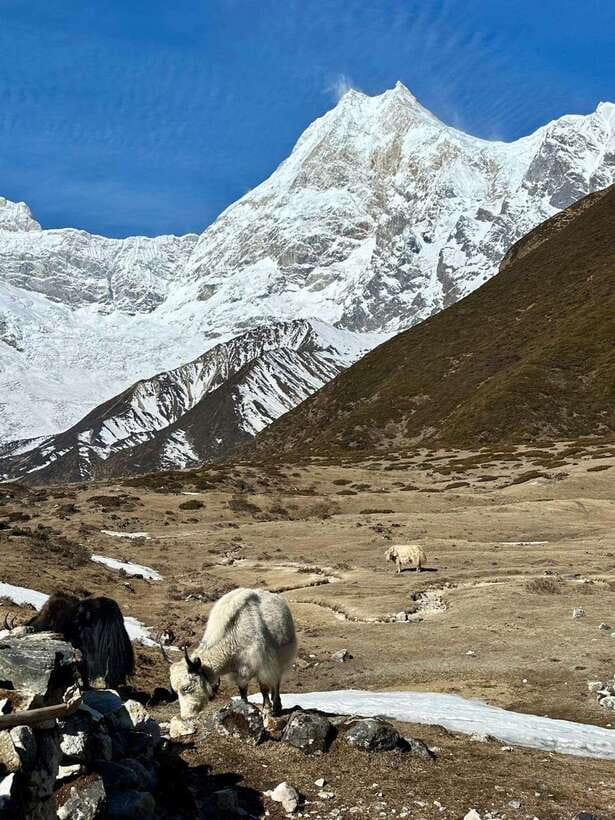 Manaslu Circuit Trek with Larkya La Pass - Hidden Gems - Day 6: Syalagoan to Samagaon, with Pungyen Gumba