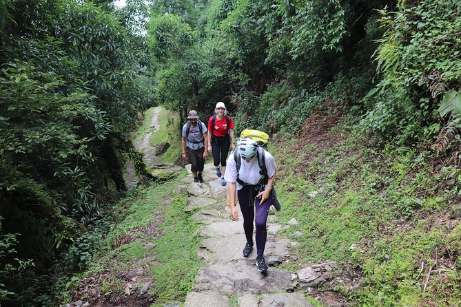 Mardi Himal Base Camp Trek (5 Days) - Key points at a glance