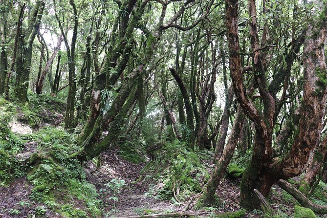 Mardi Himal Base Camp Trek (5 Days) - What the $480 price really covers