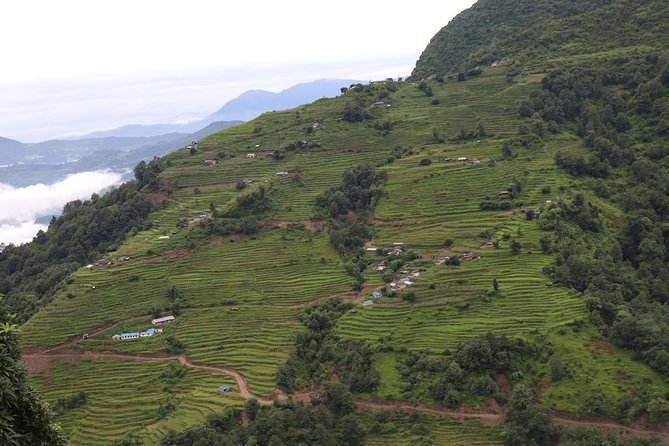 Mardi Himal Base Camp Trek (5 Days) - Day 2 through the Annapurna forest to Badal Dhanda