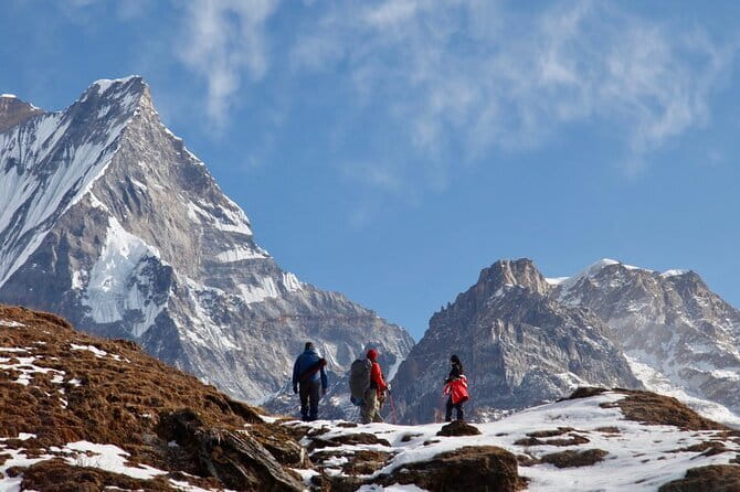 Mardi Himal Base Camp Trek from Pokhara 4 Days - The Guide and Service Experience