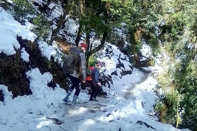 Mardi Himal Trek - Day 3: Mardi Himal View Point or Base Camp