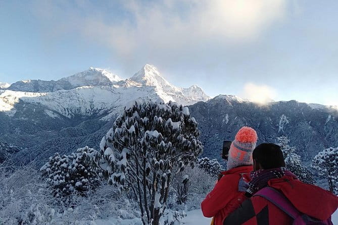 Mardi Himal Trek - Day 4: Badal Danda to Landruk