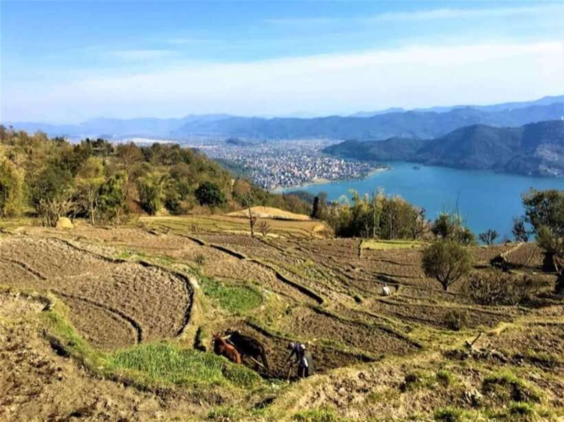 Methlang Hill Tour: Culture, Nature & Scenic View of Pokhara - Pickup from Lakeside and the road into the hills