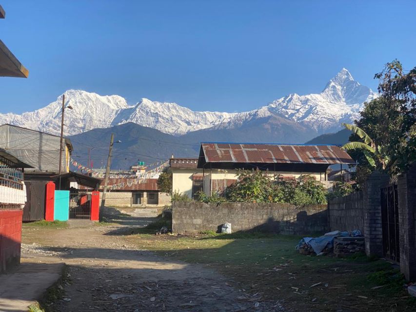 Morning half day Tibetan cultural tour - Key points to know before booking