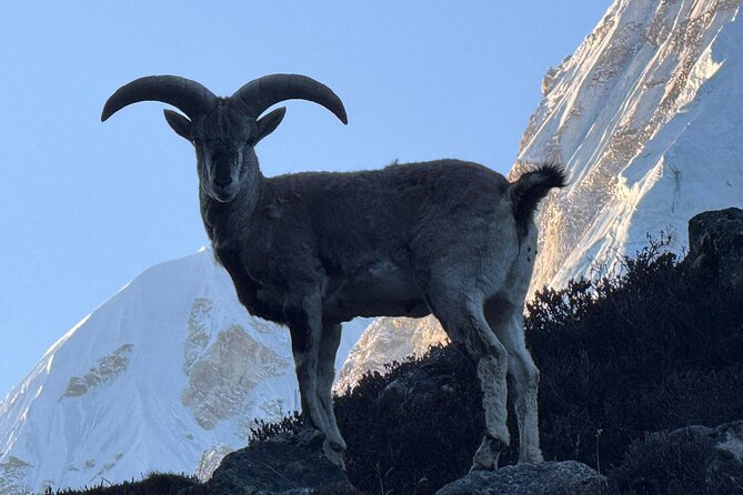 Mt. Kanchenjunga South to North Base Camp Trekking - Why Kanchenjunga feels different from Nepal’s busier routes