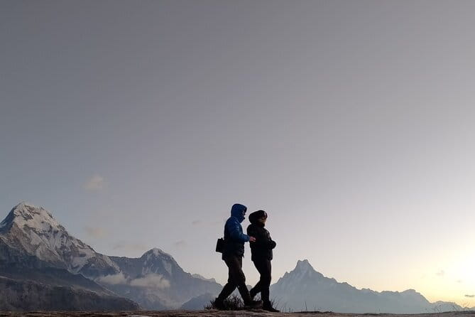 Multi-Day Tour from Pokhara, Poon Hill and Mulde Trek - Day 3: Tadapani to Dobato at 3,350 Meters