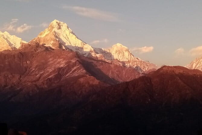 Multi-Day Tour from Pokhara, Poon Hill and Mulde Trek - Day 2: Rhododendron Forests and Tadapani Views