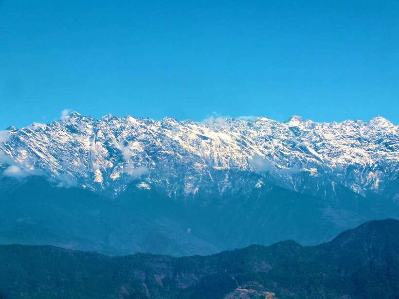 Nagarjun Jamacho Day Hike – Stunning Valley Himalayan Views - Walking beneath pine and rhododendron trees