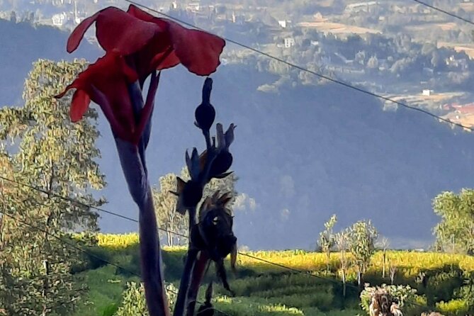 Nagarkot (2175m) Sunrise and Day Hike to Changunarayan Temple - Sunrise and the Himalayan view