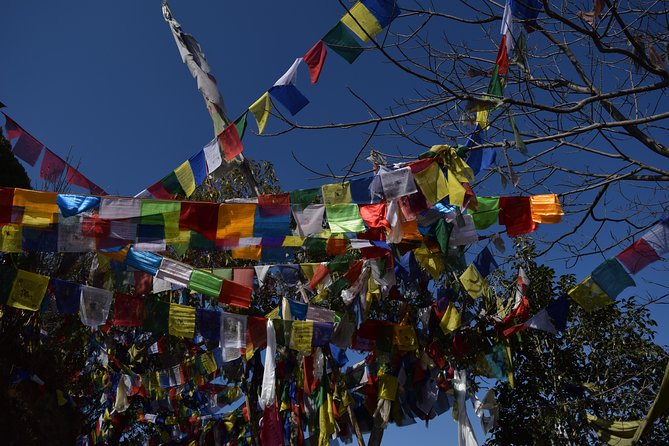 Namo Buddha and Thrangu Tashi Yangtse Monastery Half-Day Tour - Namo Buddha Stupa: the spiritual center of the trip