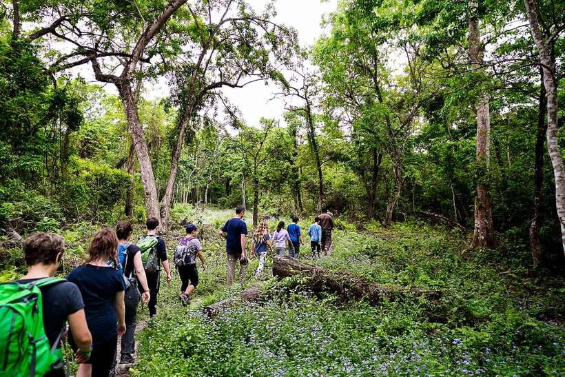 Nepal: 8 days Classic tour (Kathmandu, Chitwan & Pokhara) - Day 4: Chitwan’s jungle activities and wildlife