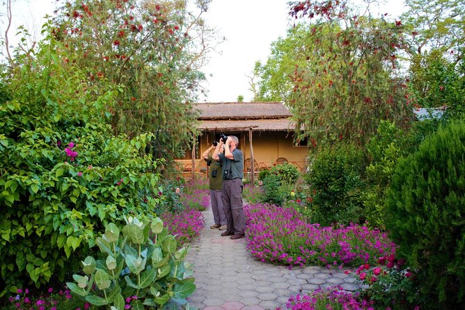 Nepal Birding - Shivapuri Nagarjun National Park: the practical Kathmandu option