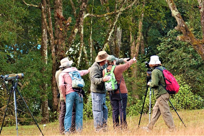 Nepal Birding - The walking and scenery beyond the birds