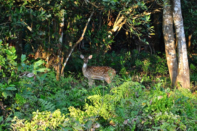 Nepal Classic Tour -12 Days - What $1,450 buys you over 12 days