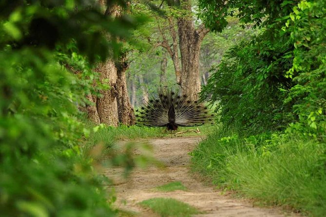 Nepal Classic Tour -12 Days - Days 7 and 8: Palpa, Tansen, and Rani Mahal