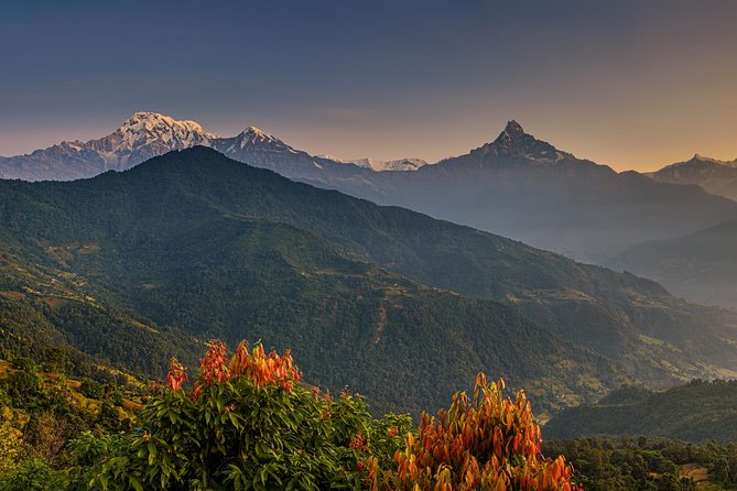 Nepal Cultural Highlights Tour in 10 Days - Kathmandu arrival and a gentle first evening
