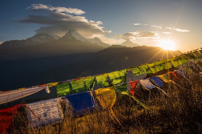 Nepal Cultural Highlights Tour in 10 Days - Chitwan brings rivers, crocodiles, and birdwatching