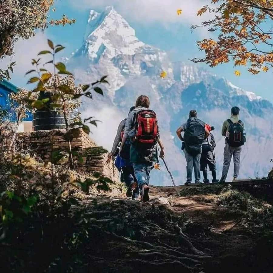 Nepal: Small Group 4-day Mardi Himal Trekking - Final call: a short trek with a serious high point