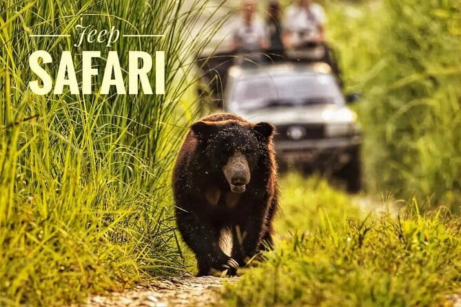Night Stay in Chitwan National Park, 2 Nights 3 Days Package - Key points to know before booking