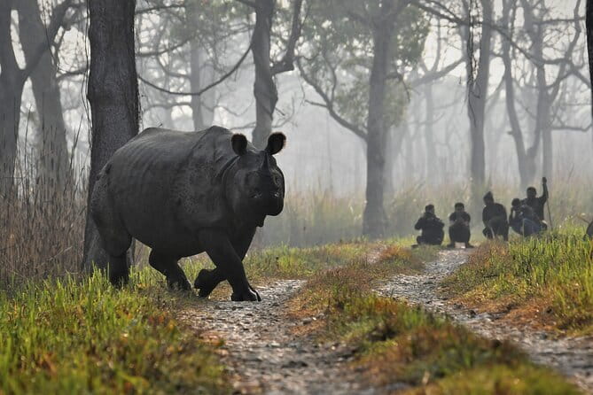 Night Stay in Chitwan National Park, 2 Nights 3 Days Package - What the 2-night, 3-day format really means