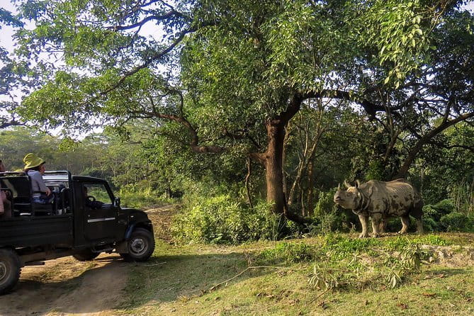 Night Stay in Chitwan National Park, 2 Nights 3 Days Package - Walking safari: the quieter way to search