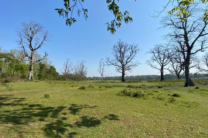 Night Stay in Chitwan National Park, 2 Nights 3 Days Package - Jeep safari: more ground, less silence