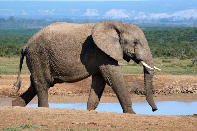 One Day Tour inside Chitwan National Park - Key points at a glance