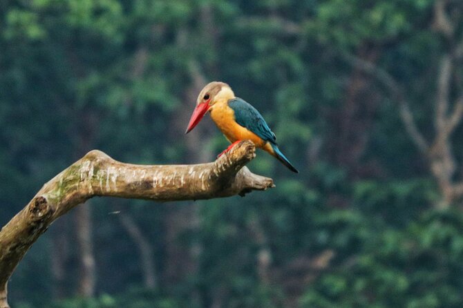One Day Tour inside Chitwan National Park - The guide team and group size