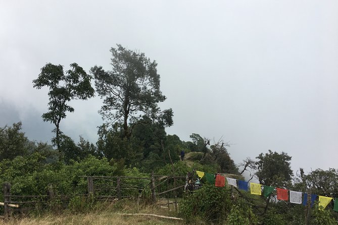 Overnight Dhampus Australian Camp Easy Hiking from Pokhara - Australian Camp at 2,000 meters