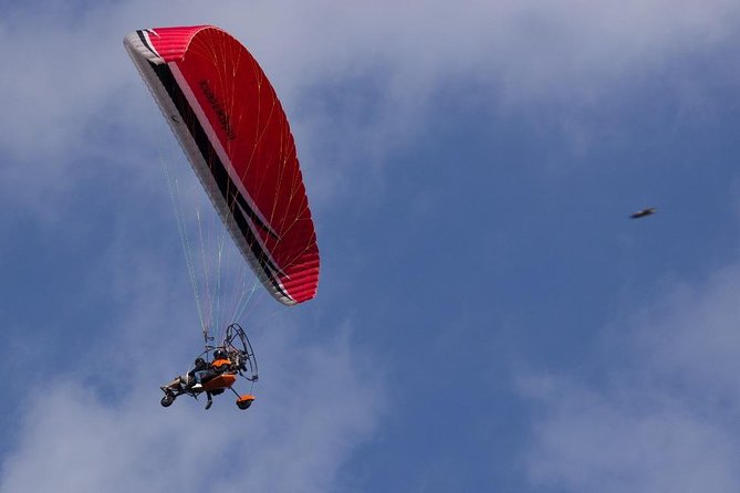 Paragliding Pokhara Nepal - Eagles, vultures, and kites in the same sky