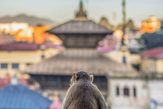 PashupatiNath and BoudhaNath - Private/Small Group - Arriving at Boudhanath Stupa