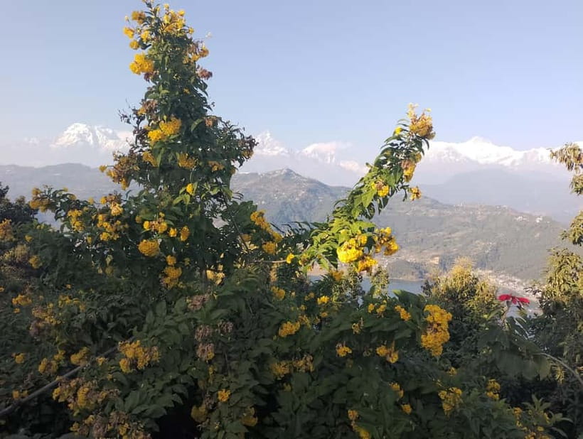 Peace & Panorama: Stupa and Pumdikot Scenic Drive Tour - Who will enjoy this half-day trip