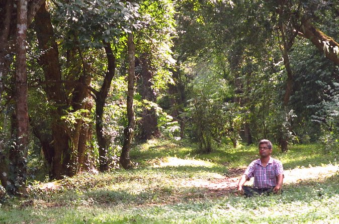 Pharping Asura Cave Meditation Tour - Who should book this Pharping tour?