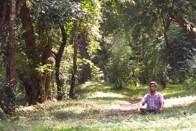 Pharping Asura Cave Meditation Tour - Walking past monasteries and temples