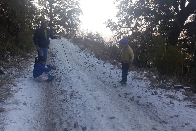 Phulchoki bird-watching tour - Reaching the summit at about 2,800 meters