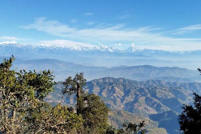 Phulchoki bird-watching tour - Lunch, the descent, and the ride back