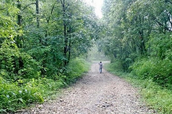Phulchoki bird-watching tour - Walking from Naudhara into the Phulchoki forest